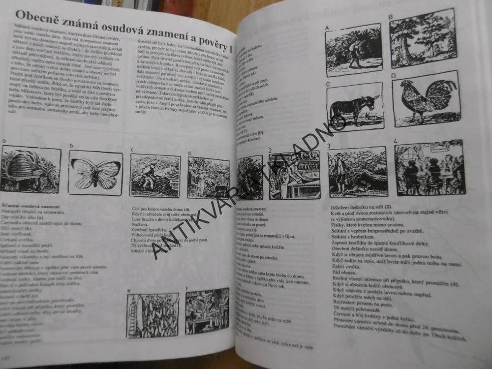 UMĚNÍ PŘEDVÍDAT BUDOUCNOST, **an