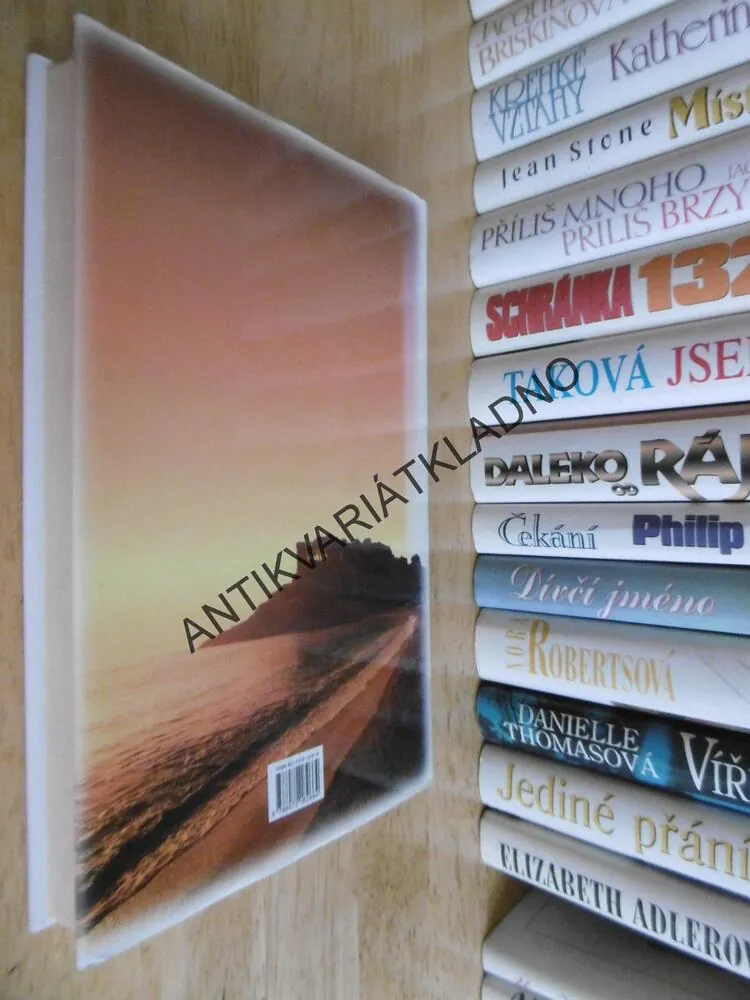 MÍSTO V SRDCI, JEAN STONE, **an