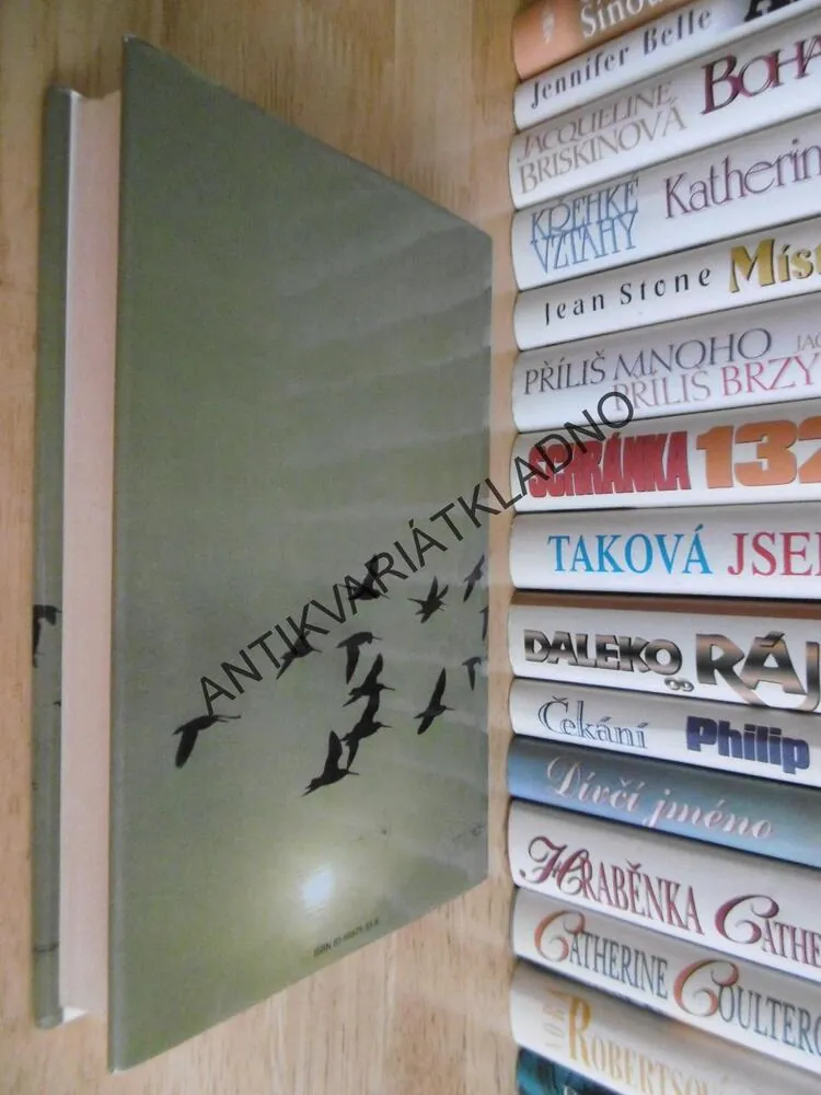 NÁVRAT ČASU, ALEXANDRA RIPLEYOVÁ, **an