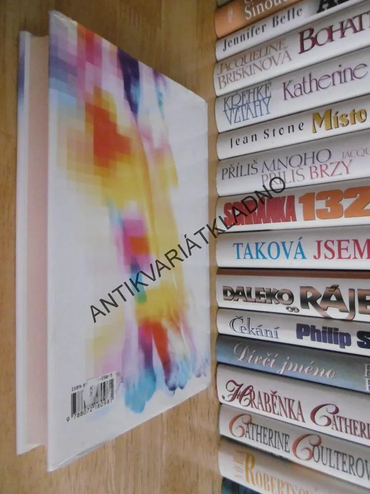 VIRTUÁLNÍ LÁSKA, SUSAN OUDOTOVÁ, **an