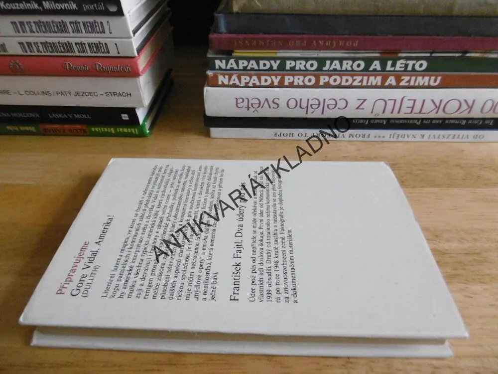 ŽIVOT A LÁSKY JEDNÉ ĎÁBLICE, FAY WELDONOVÁ, **an