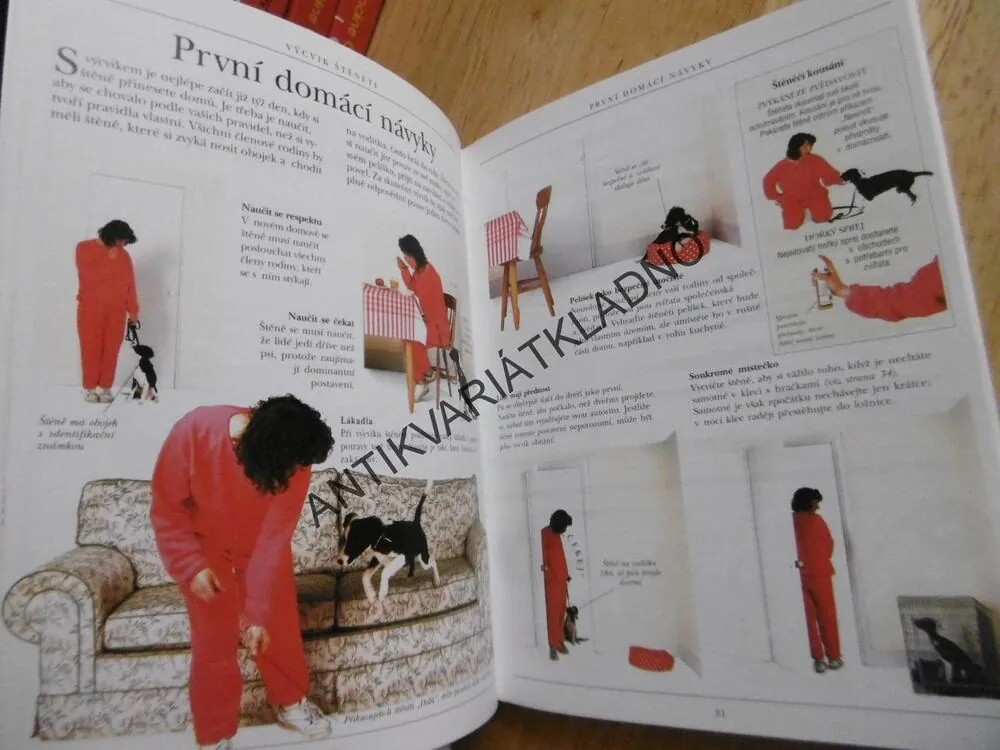VÝCVIK PSA DO KAPSY, DR. BRUCE FOGLE, **an