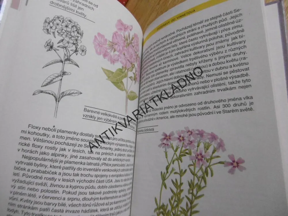 Z LUK A MEZÍ DO ZAHRADY, V. VĚTVIČKA - AUTOGRAM, M. TULÁČKOVÁ, **an