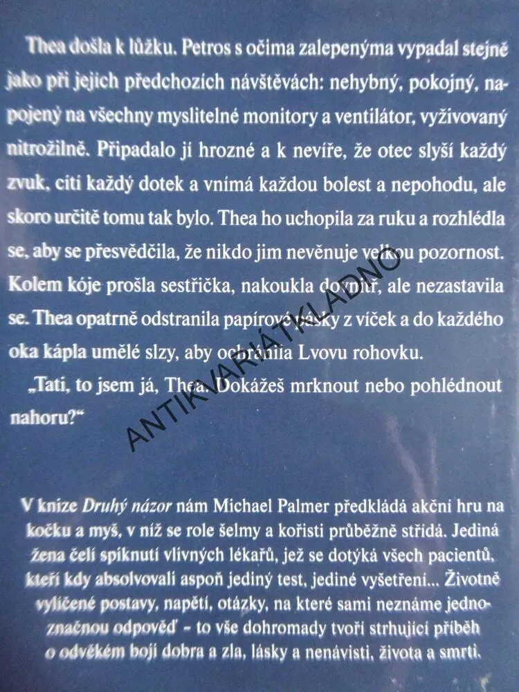 DRUHÝ NÁZOR, MICHAEL PALMER, **an