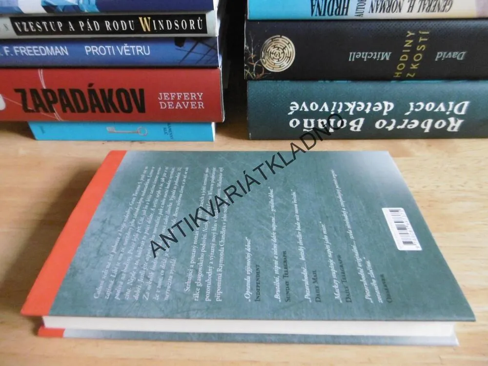 NEZBYTNÁ SMRT LEWISE WINTERA, MALCOLM MACKAY, **an