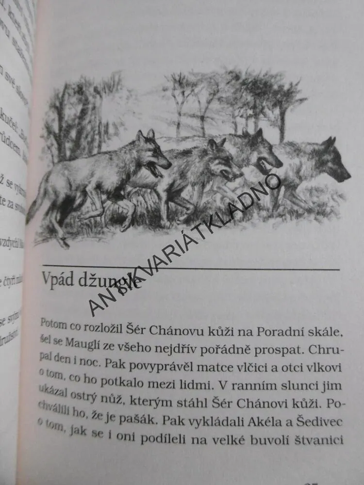 MAUGLÍ, RUDYARD KIPLING, PETR MINKA, **an