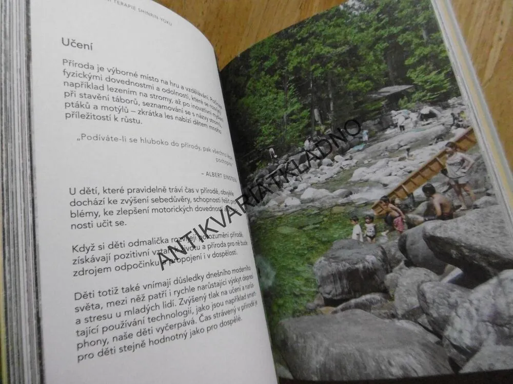 SHINRIN-YOU, LESNÍ TERAPIE PRO ZDRAVÍ A RELAXACI - INSPIRUJTE SE JAPONSKEM, PROFESOR YOSHIFUMI MIYAZAKI, **an