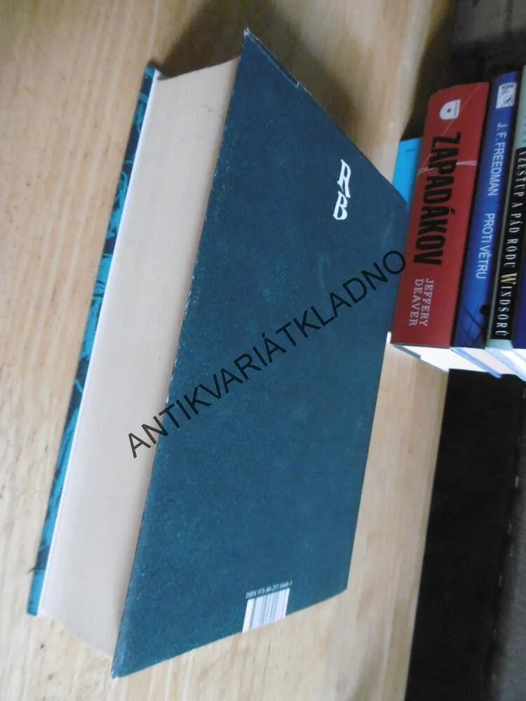 DIVOCÍ DETEKTIVOVÉ, ROBERTO BOLAÑO, **an