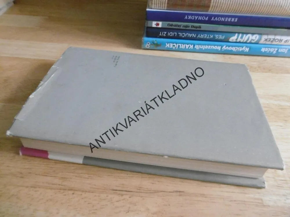 JMÉNO RŮŽE, UMBERTO ECO, **an