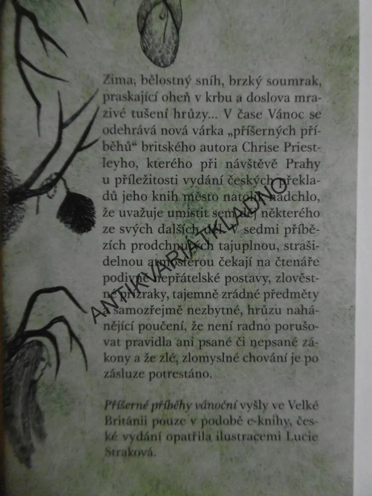 PŘÍŠERNÉ PŘÍBĚHY VÁNOČNÍ, CHRIS PRIESTLEY, **an