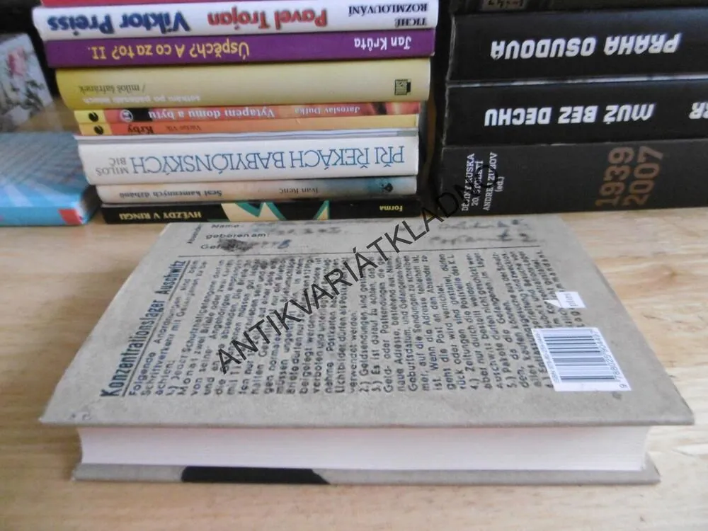 ZÓNA ZÁJMU, MARTIN AMIS, **an