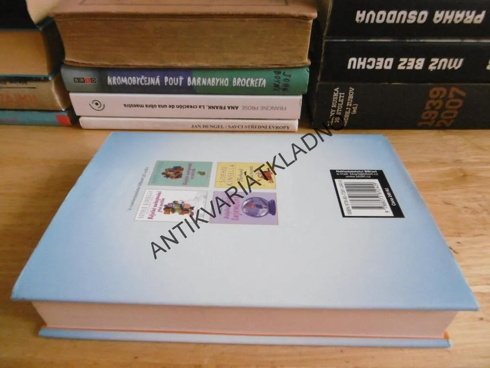 BÁJEČNÉ NAKUPOVÁNÍ DO KOČÁRKU, SOPHIE KINSELLA, **an