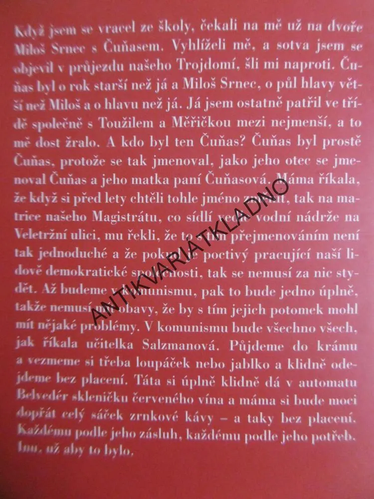 LAMPIONOVÝ PRŮVOD, JIŘÍ SLAVÍČEK, **an