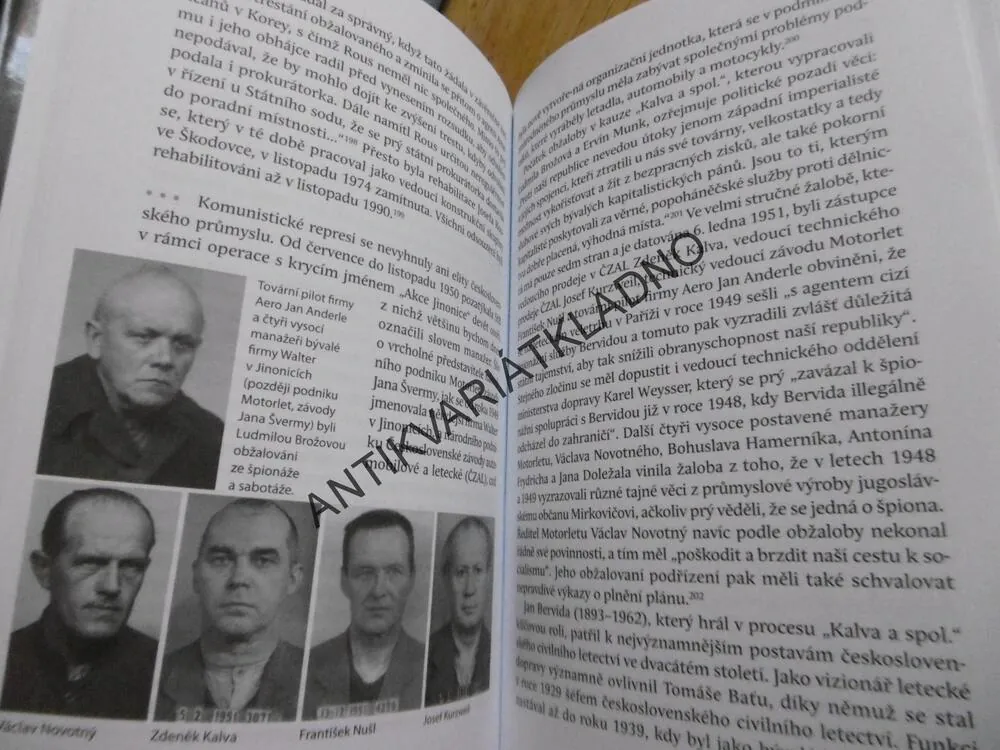 PŘÍBĚH HEREČKY, DĚLNICKÁ PROKURÁTORKA LUDMILA BROŽOVÁ A JEJÍ SVĚT, PETR ZÍDEK, **an