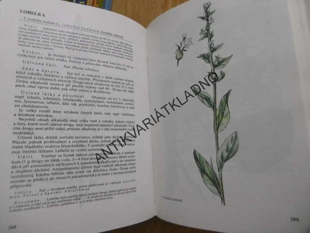NAŠE ROSTLINY V LÉKAŘSTVÍ, JAROSLAV KORBELÁŘ, ZDENĚK ENDRIS, JINDŘICH KREJČA, **an