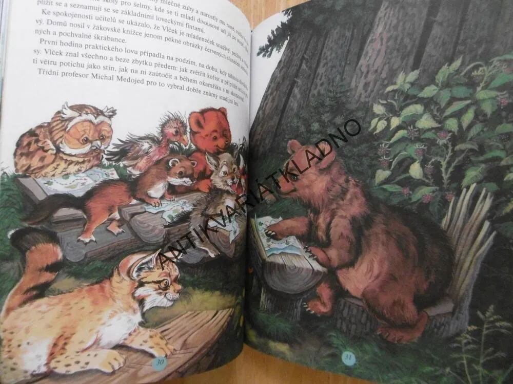 POHÁDKY MOUDRÉ SOVY, JÓZSEF NEPP, HAJNAL ESZESOVÁ, JÁNOS BALOGH, **an