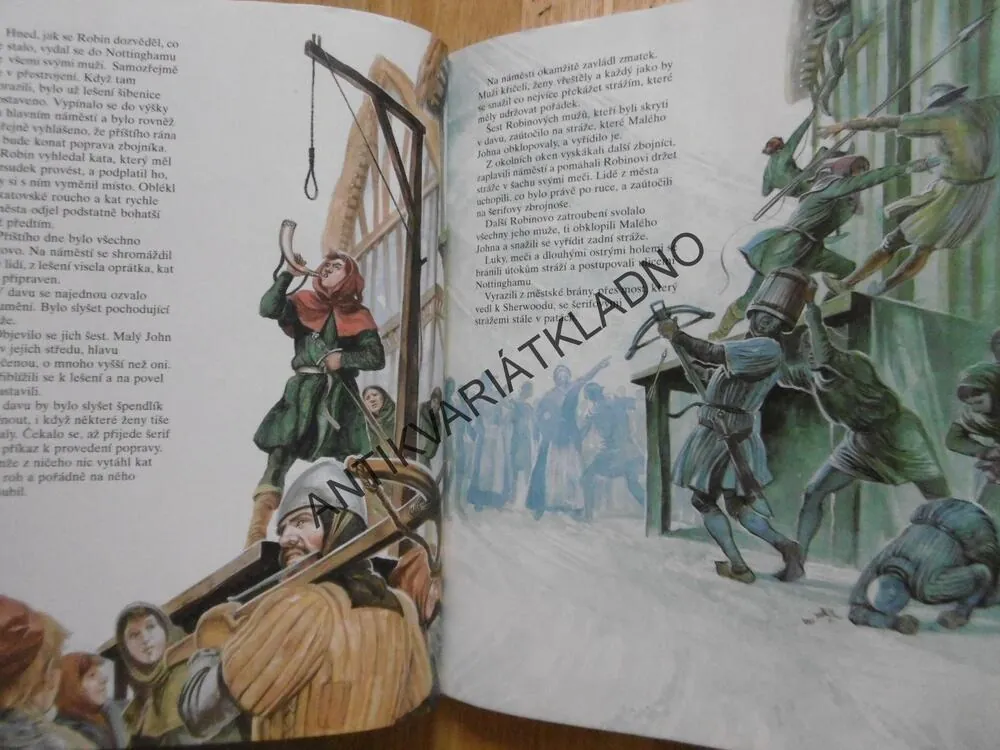 ROBIN HOOD, OSTROV POKLADŮ, **an