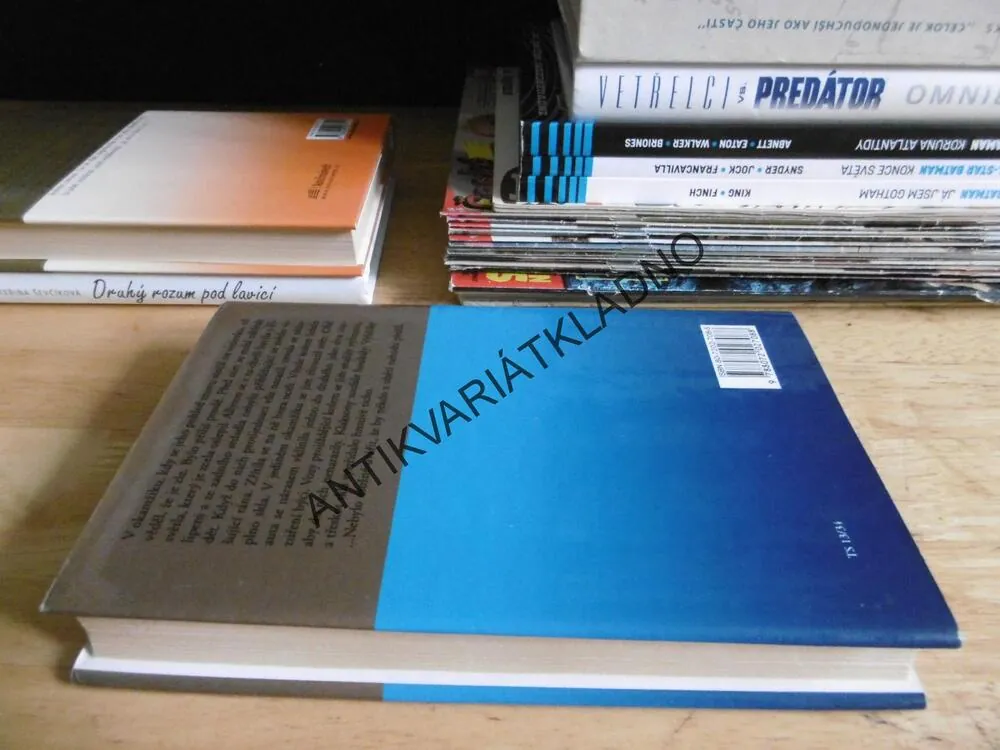 NEHODA, DANIELLE STEEL, **an