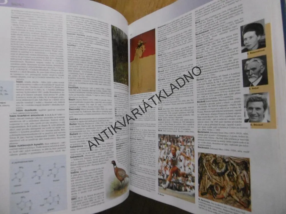 OTTOVA VŠEOBECNÁ ENCYKLOPEDIE VE DVOU SVAZCÍCH, A-L, M-Ž, **an