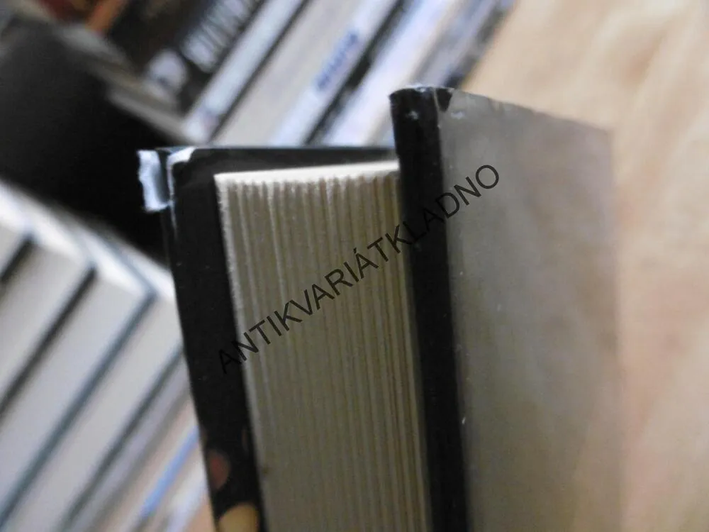 PADLÉ MUČEDNICE, KEN BRUEN, **an