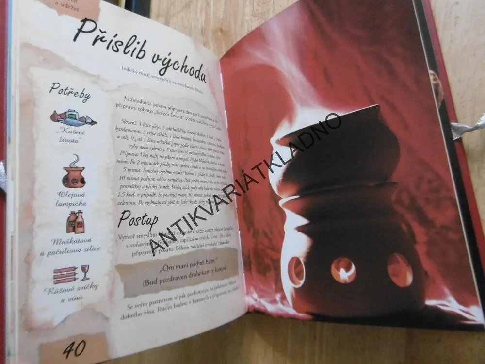 ČARODĚJNICKÁ KNIHA, NICOLA DE PULFORD, **an