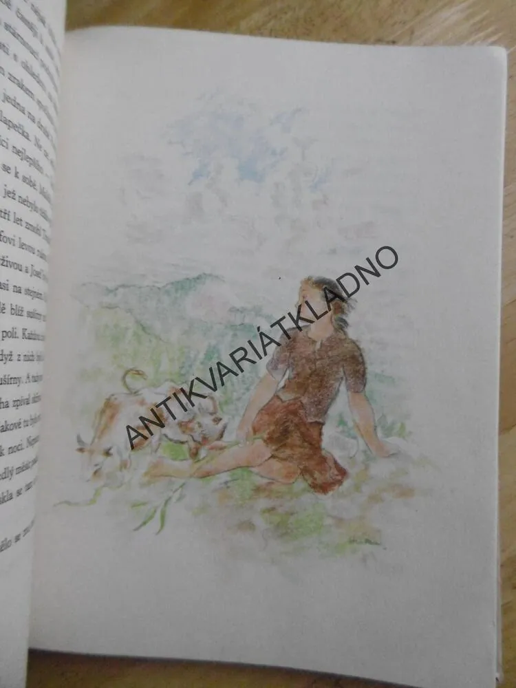 RÉVA NA ZDI, JOSEF KNAP, **an 