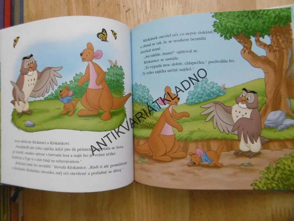 KDO SE TU SCHOVÁVÁ, MEDVÍDEK PÚ, **an