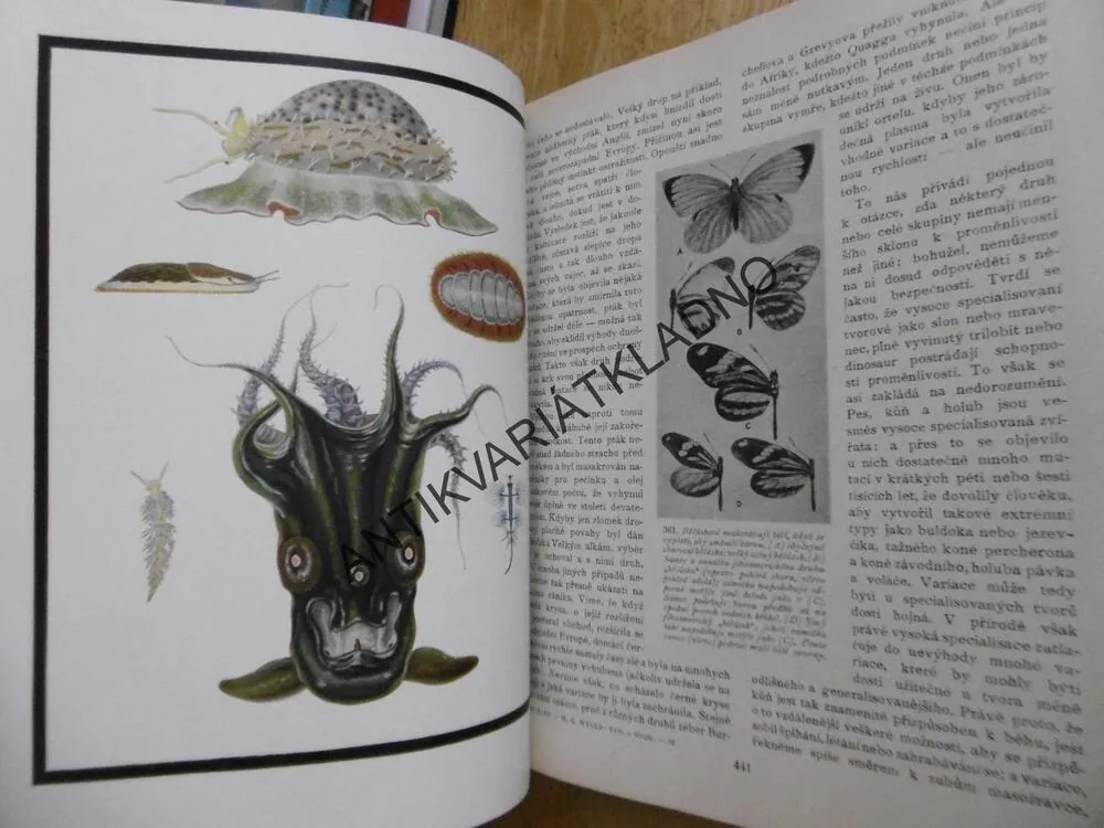 VĚDA O ŽIVOTĚ, 1-3., H.G WELLS, J.HUXLEY, G.P.WELLS,1931,  **an