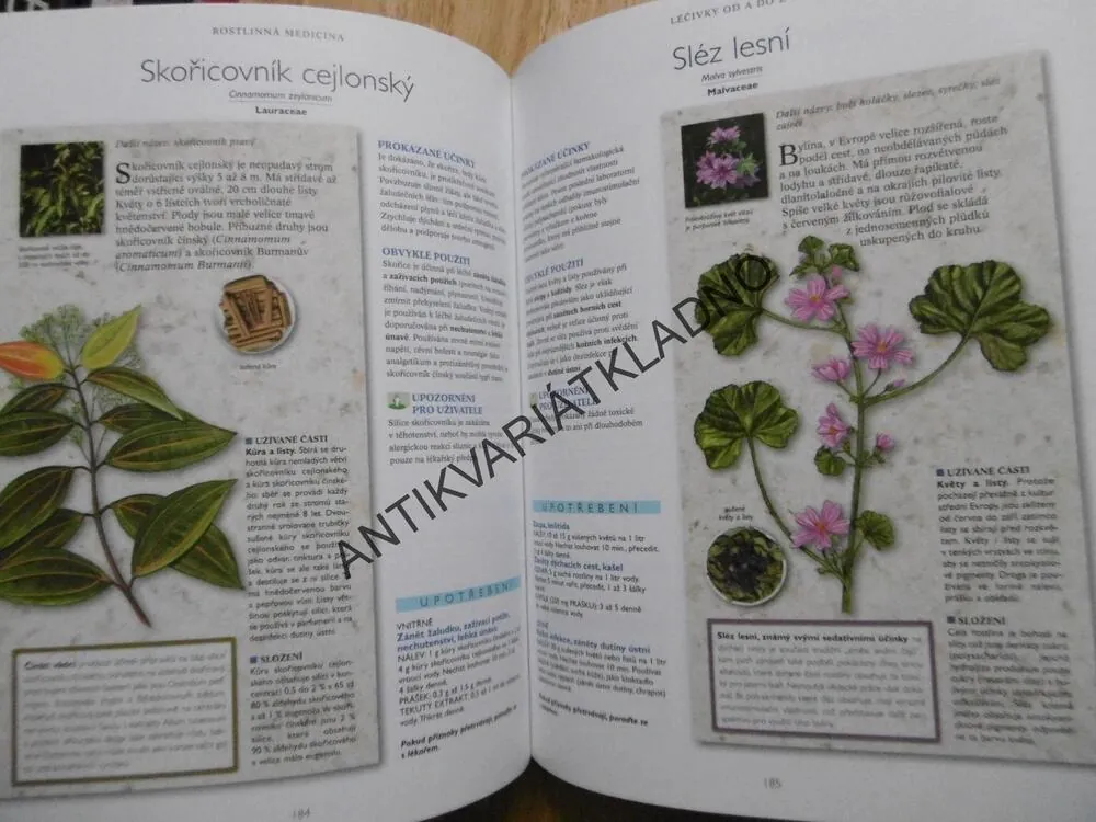 ROSTLINNÁ MEDICÍNA,BYLINKY, HERBÁŘ,**an