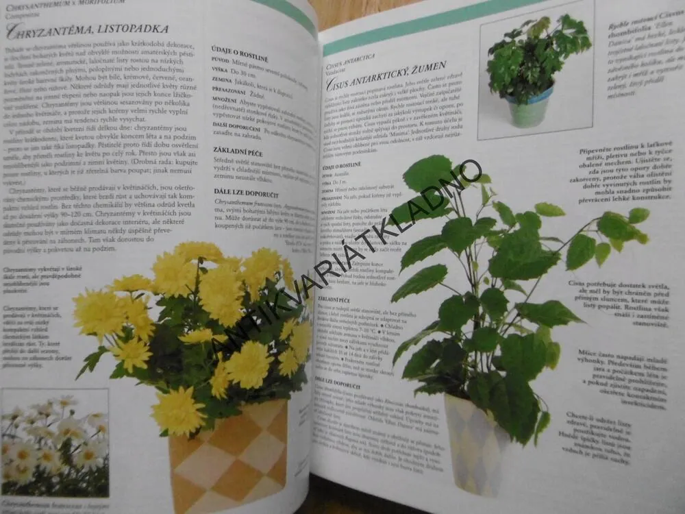 ROSTLINY V BYTĚ,POKOJOVÉ KVĚTINY,  READERS DIGEST VÝBĚR, **an