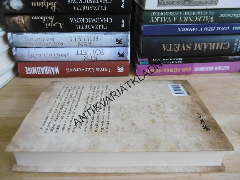 DŮM U TŘÍ BOROVIC, HANA MARIE KÖRNEROVÁ, **an