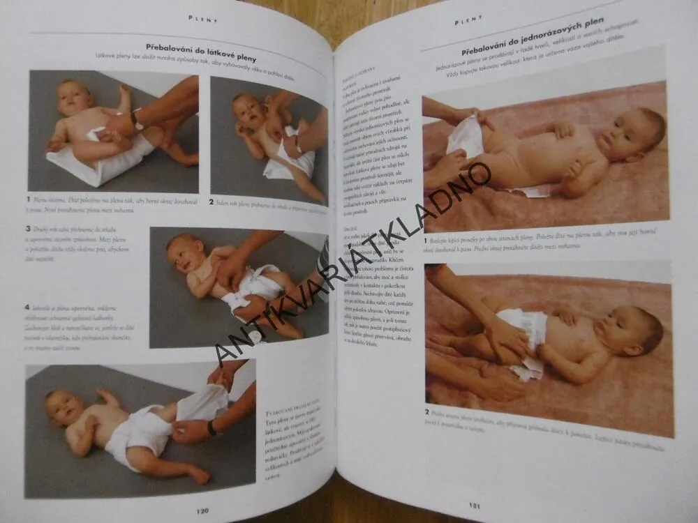 TĚHOTENSTVÍ A PÉČE O DÍTĚ, PRAKTICKÁ PŘÍRUČKA, ALISON MACKONOCHIEOVÁ, **an