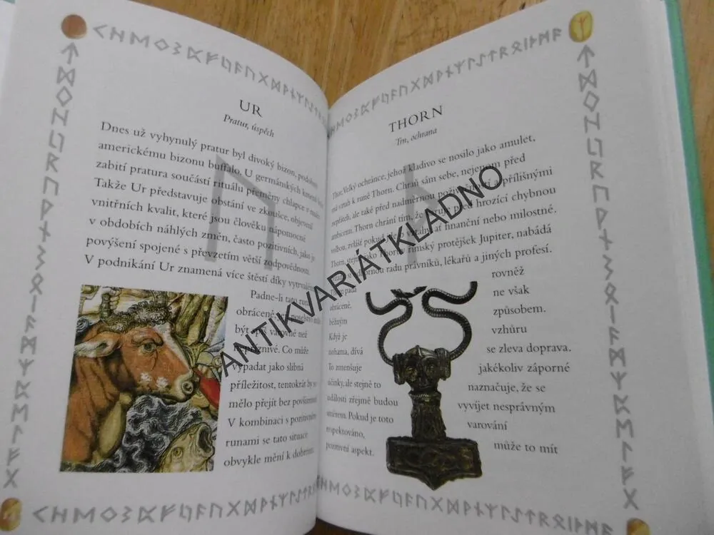 RUNY, TAJEMSTVÍ KAMENŮ, **an