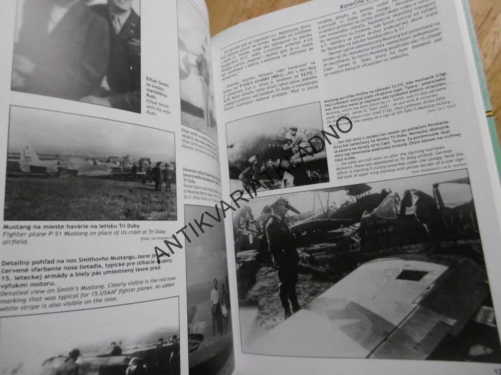 KONEČNÁ ZASTÁVKA: SLOVENSKO! LETECTVÍ, KAŠŠÁK, HRODEGH, POSÁDKA 15.USAAF, SLOVEN