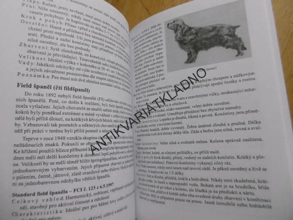LOVEČTÍ ŠPANĚLÉ, JAN JIRÁČEK, **an