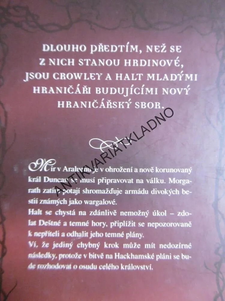 HRANIČÁŘŮV UČEŇ, JOHN FLANAGAN, BITVA NA HACKHAMSKÉ PLÁNI