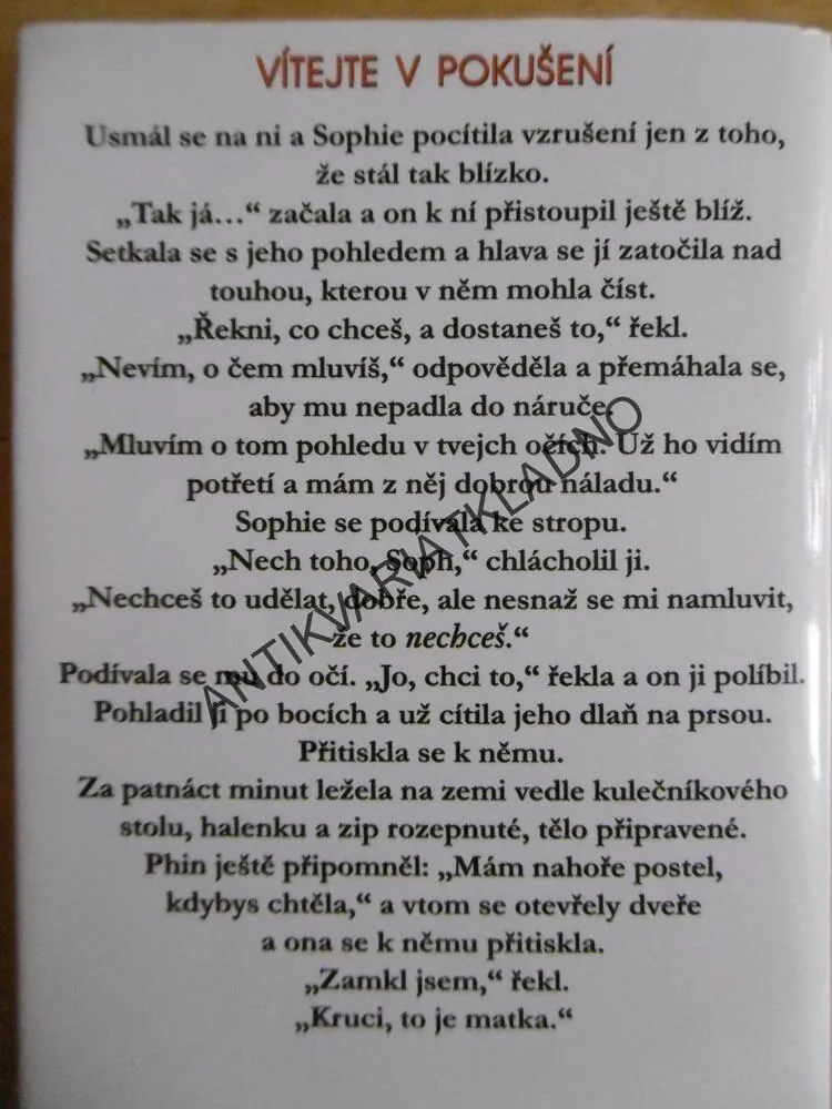VÍTEJTE V POKUŠENÍ, JENNIFER CRUSIE, **an