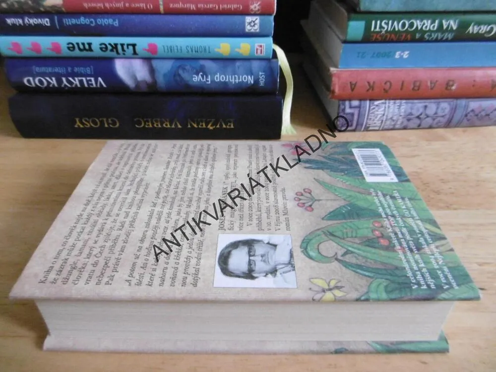 PRSATÝ MUŽ A ZLODĚJ PŘÍBĚHŮ, JOSEF FORMÁNEK, **an