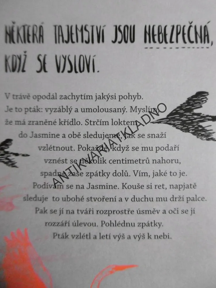 ODPUSŤ MI. MEGAN, ABBIE RUSHTONOVÁ, **an