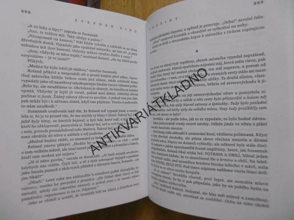 TEMNÁ VĚŽ, PUSTINY, STEPHEN KING, **an