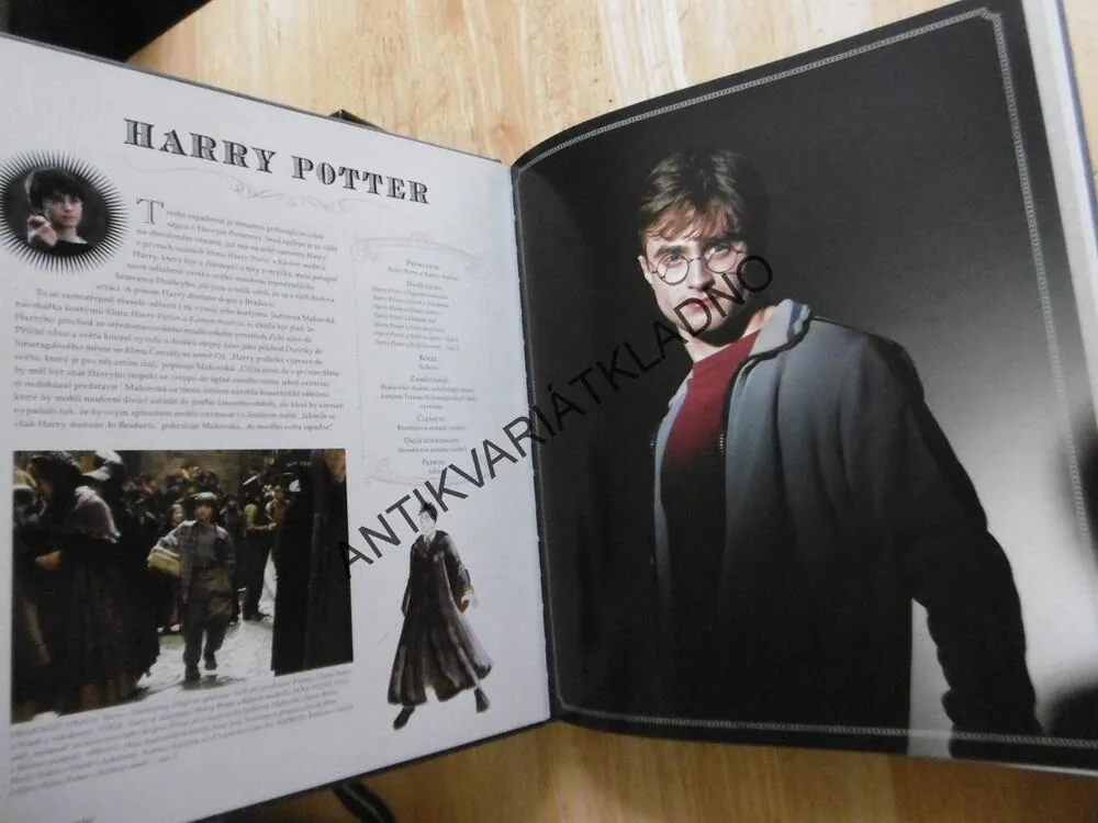 HARRY POTTER, PANOPTIKUM POSTAV, **an