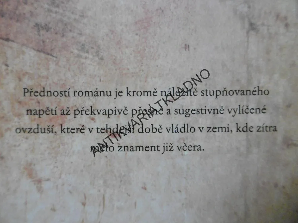 ZBOŽNÝ ZLODĚJ, WILLIAM RYAN, **an