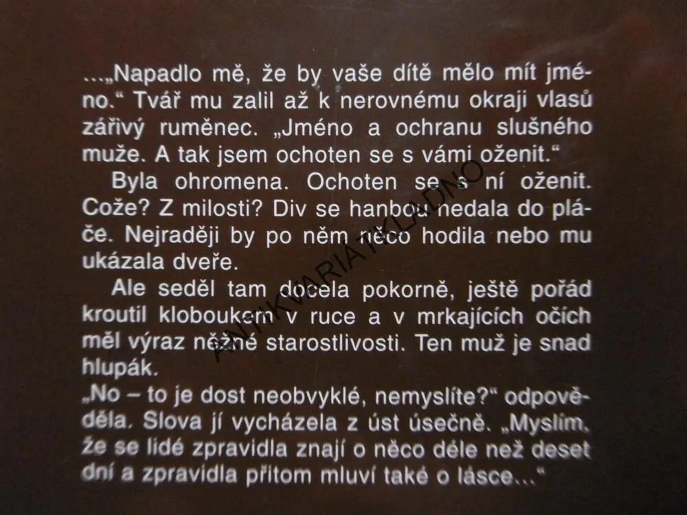 A NAVŽDY MLČETI BUDEŠ..., BELVA PLAIN, **an