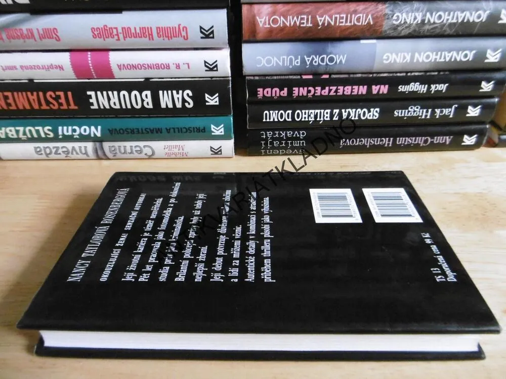 POLEHČUJÍCÍ OKOLNOSTI, NANCY TAYLOROVÁ ROSENBERGOVÁ, **an