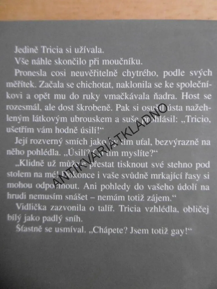 V ŽÁRU LÁSKY, SANDRA BROWN, **an