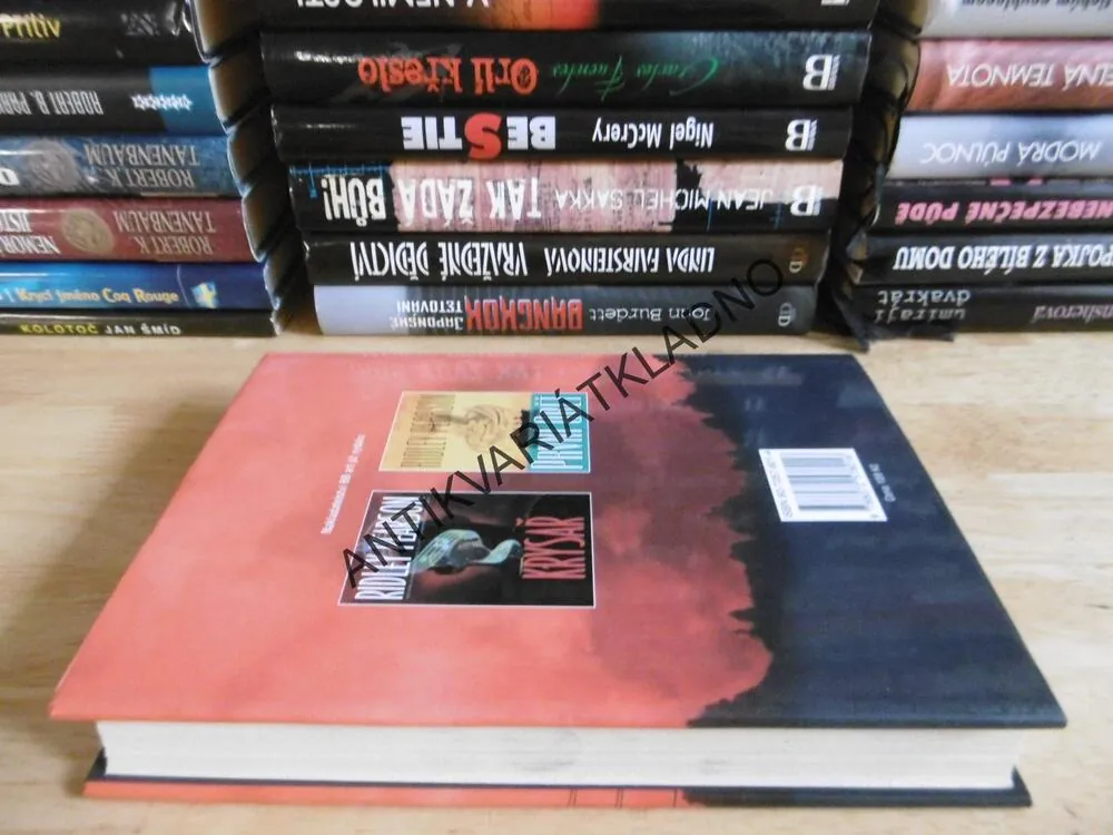 V ZEMI NIKOHO, RIDLEY PEARSON, **an