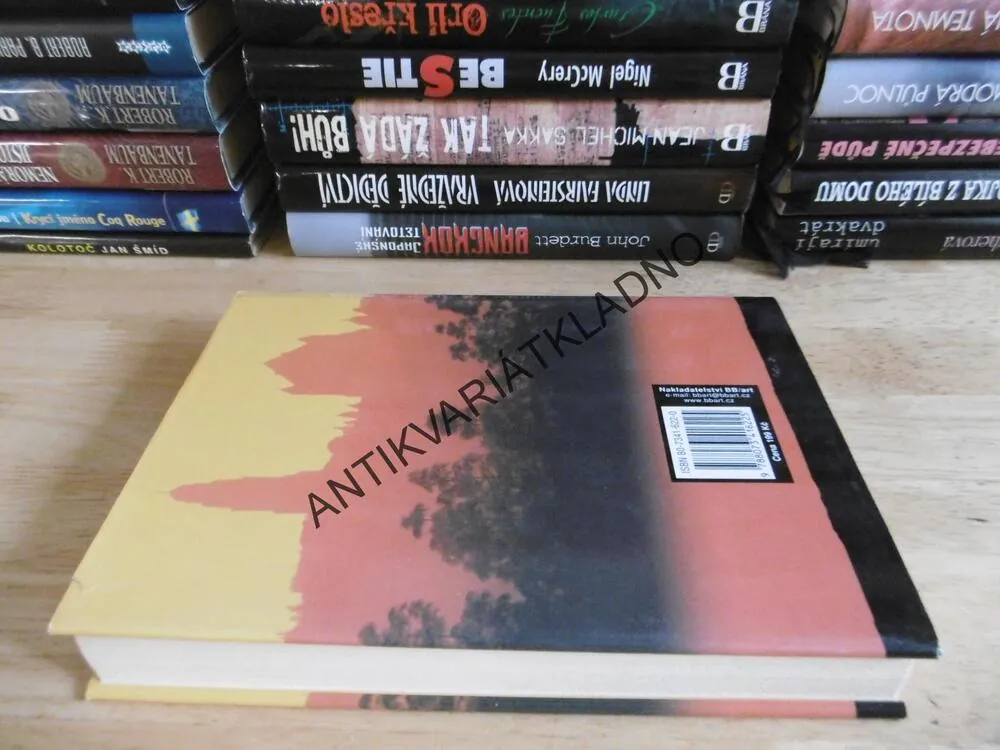 ŠPATNÉ A JEŠTĚ LEPŠÍ ZPRÁVY, ANNA BLUNDY, **an