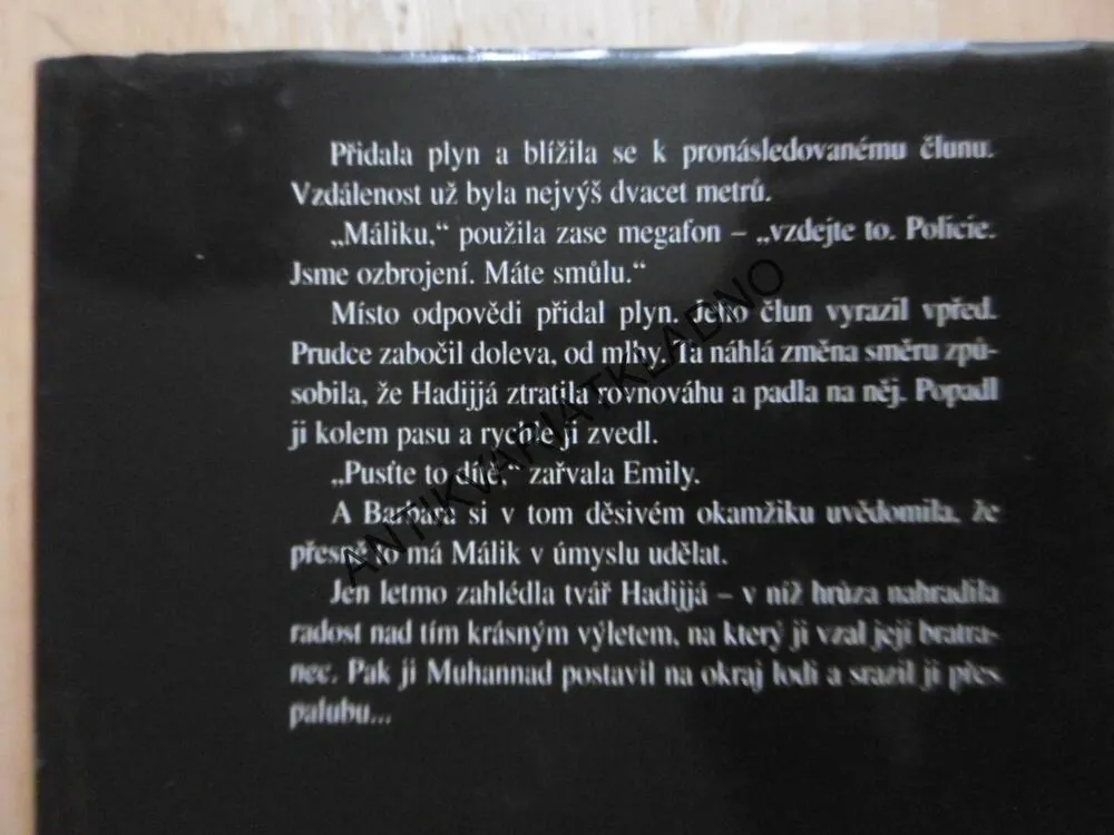 DVOJÍ TVÁŘ, ELIZABETH GEORGE, **an