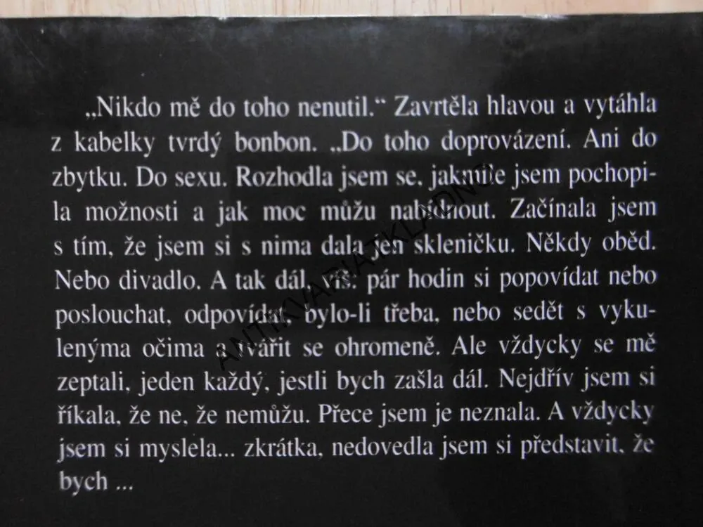 NA STOPĚ PRAVÉHO VINÍKA, ELIZABETH GEORGE, **an