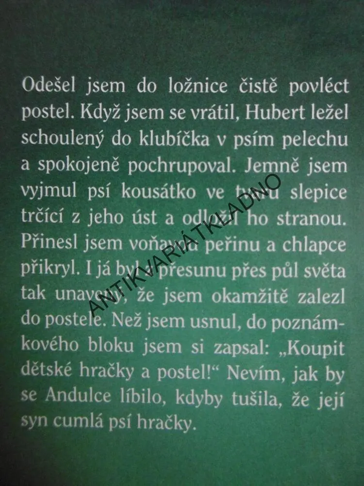 OSVÍCENÍ ZOUFALÉHO MUŽE, JITKA LUDVÍKOVÁ, **an